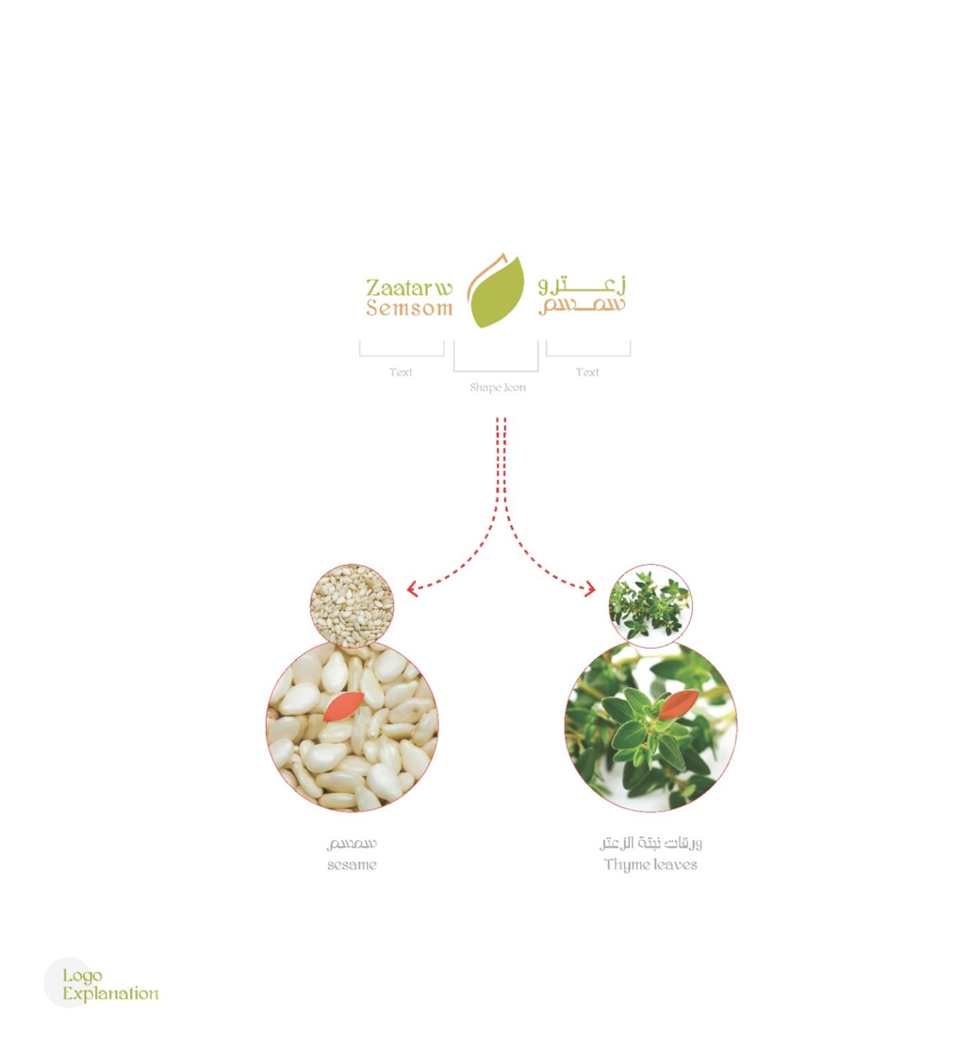 شرح الفكرة الإبداعية لشعار زعتر وسمسم